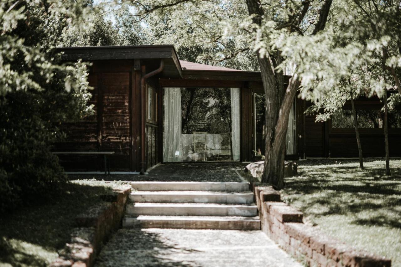 Bed and Breakfast L'Anfora Country Club Basciano Exterior foto