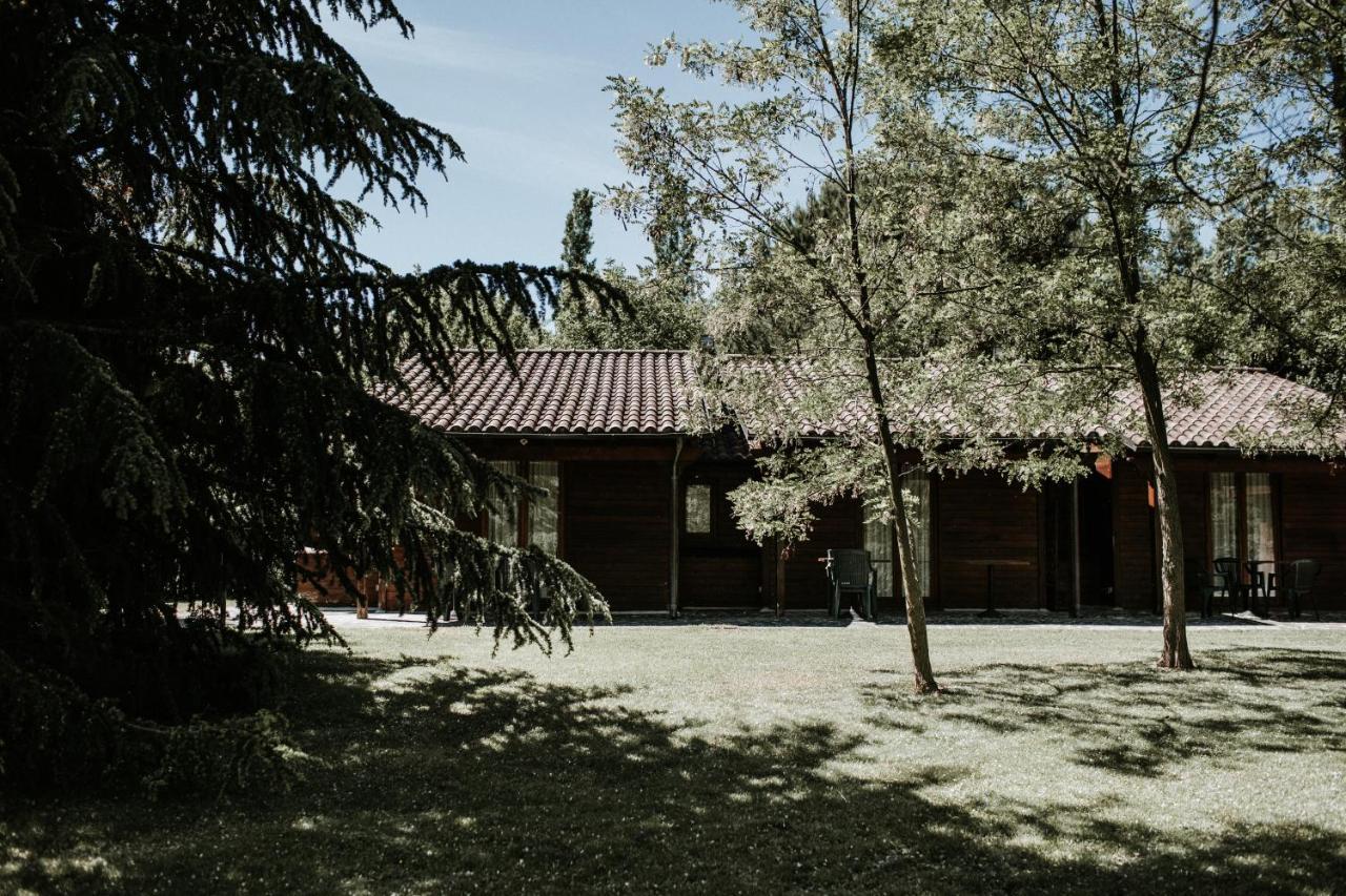 Bed and Breakfast L'Anfora Country Club Basciano Exterior foto