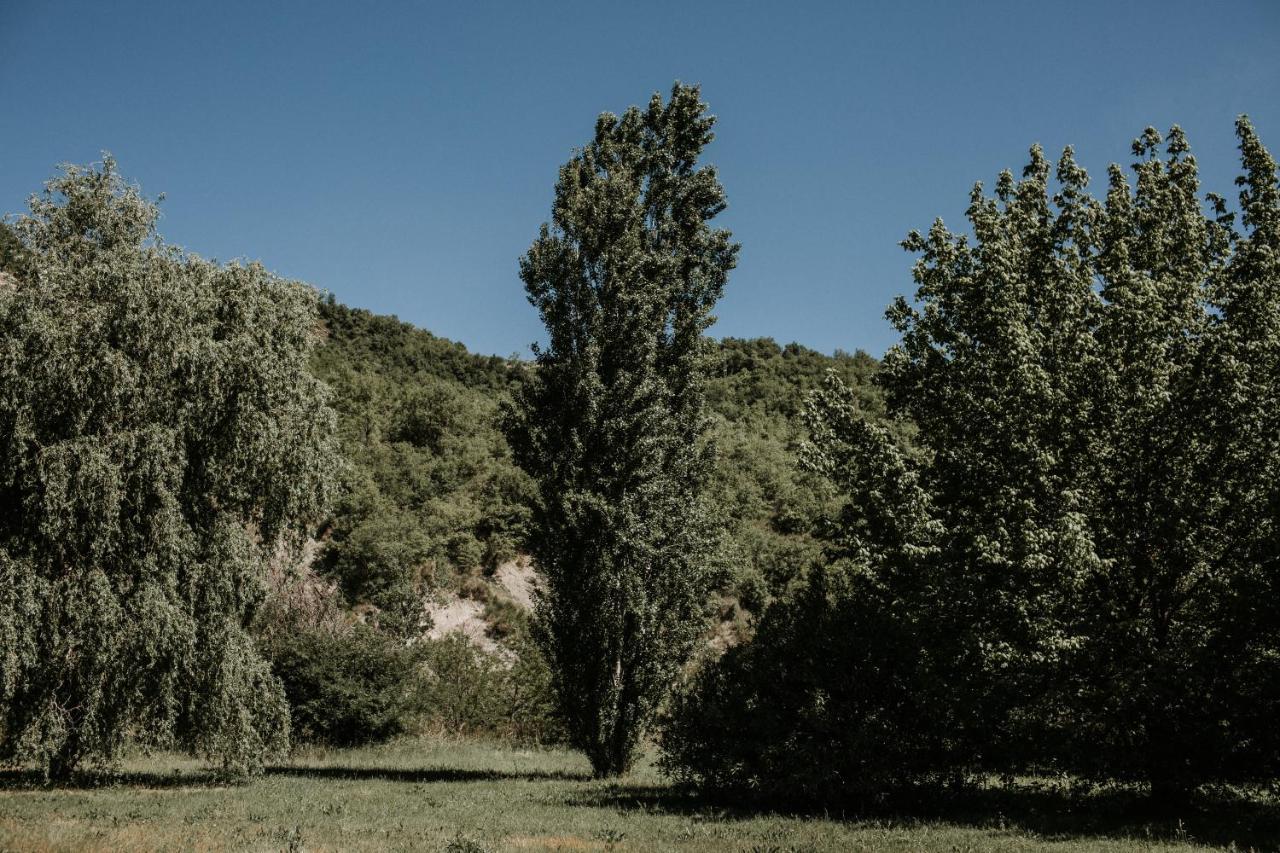 Bed and Breakfast L'Anfora Country Club Basciano Exterior foto