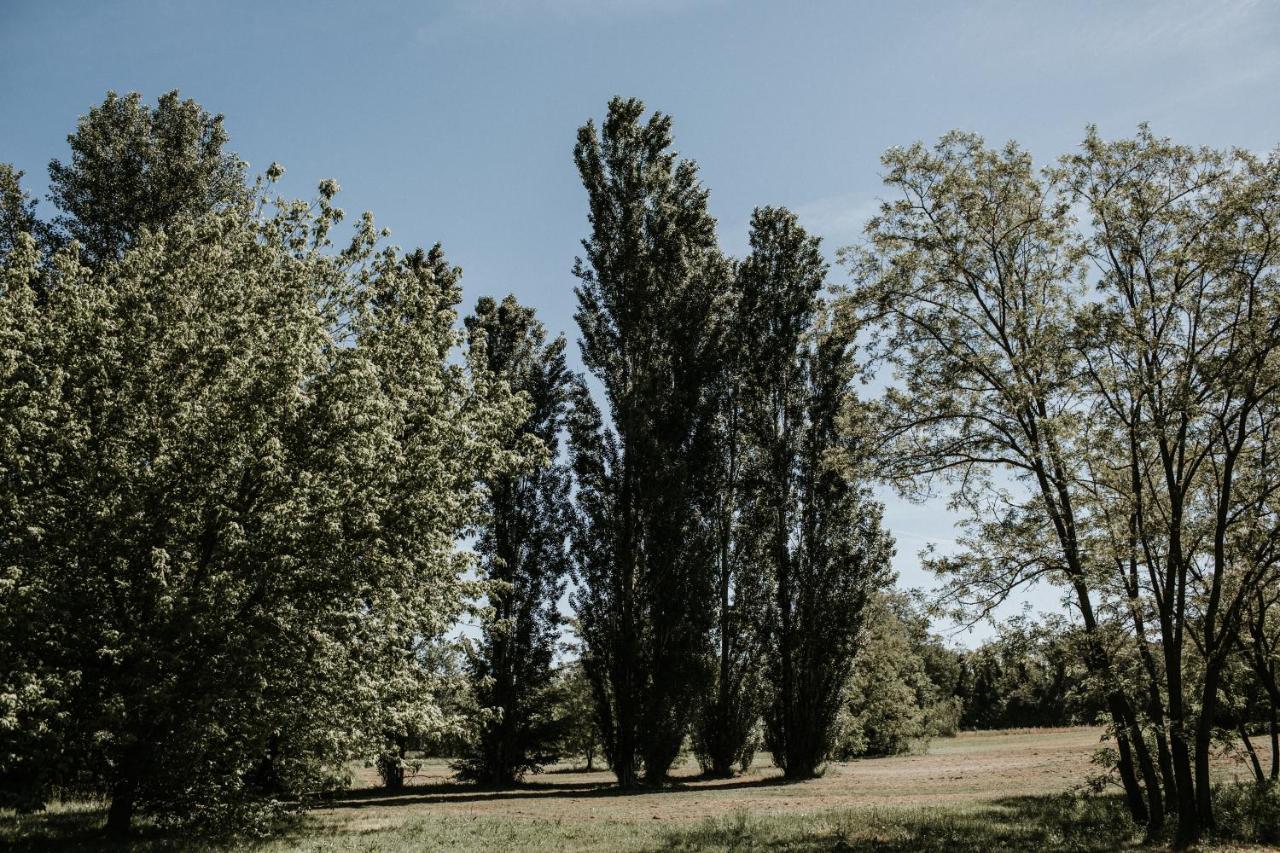 Bed and Breakfast L'Anfora Country Club Basciano Exterior foto